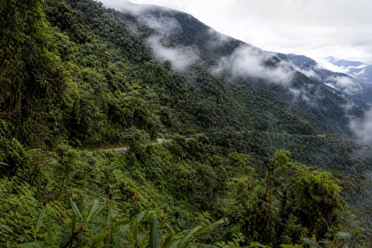 Humid Yungas cloud forest covering the mountainsides along the Death Road Bolivia route