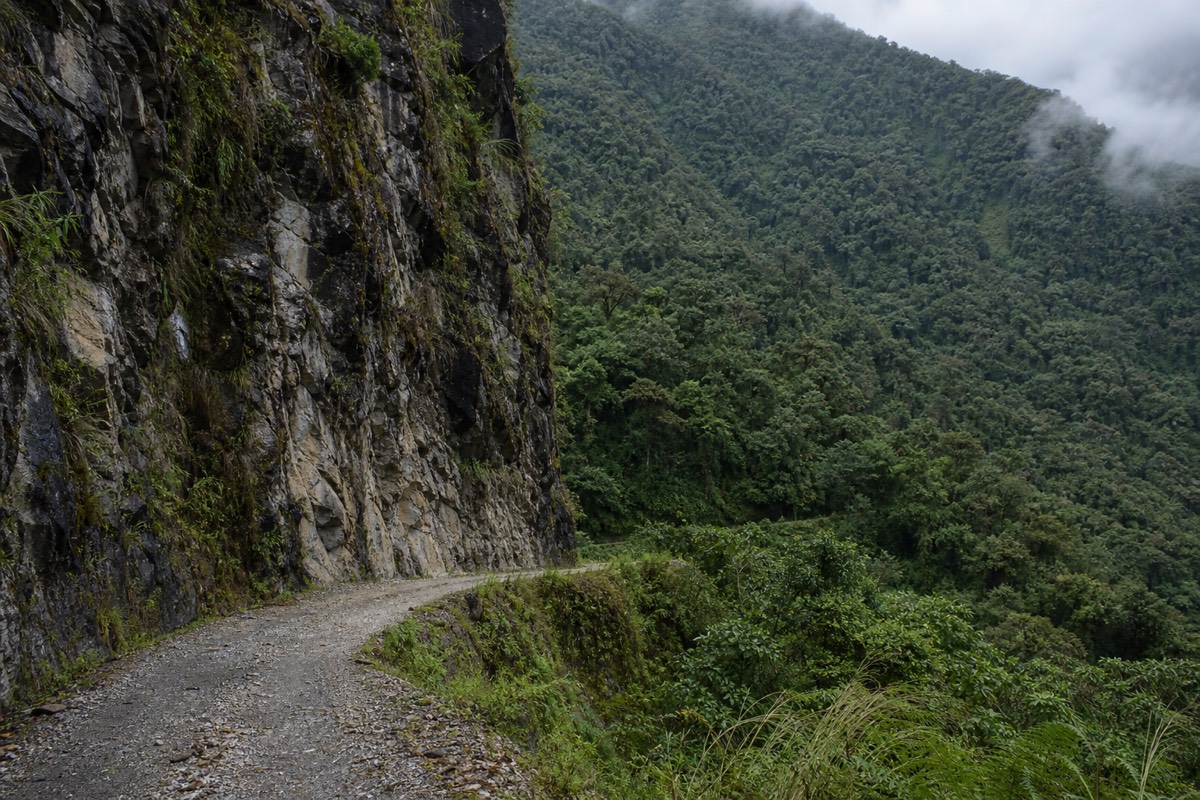 Humid Yungas cloud forest at the bottom of the Death Road Bolivia descent